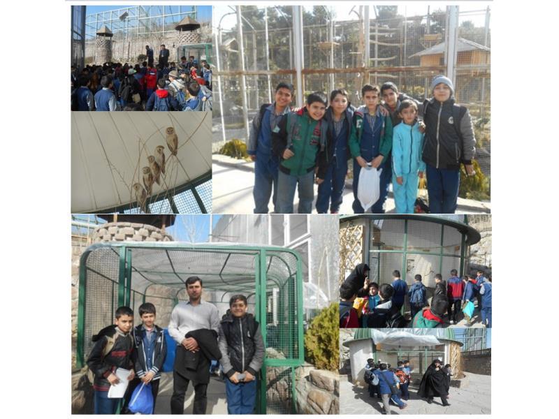 باغ پرندگان تهران